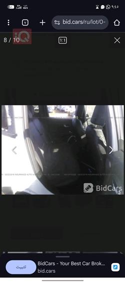 جيب رينيجيد